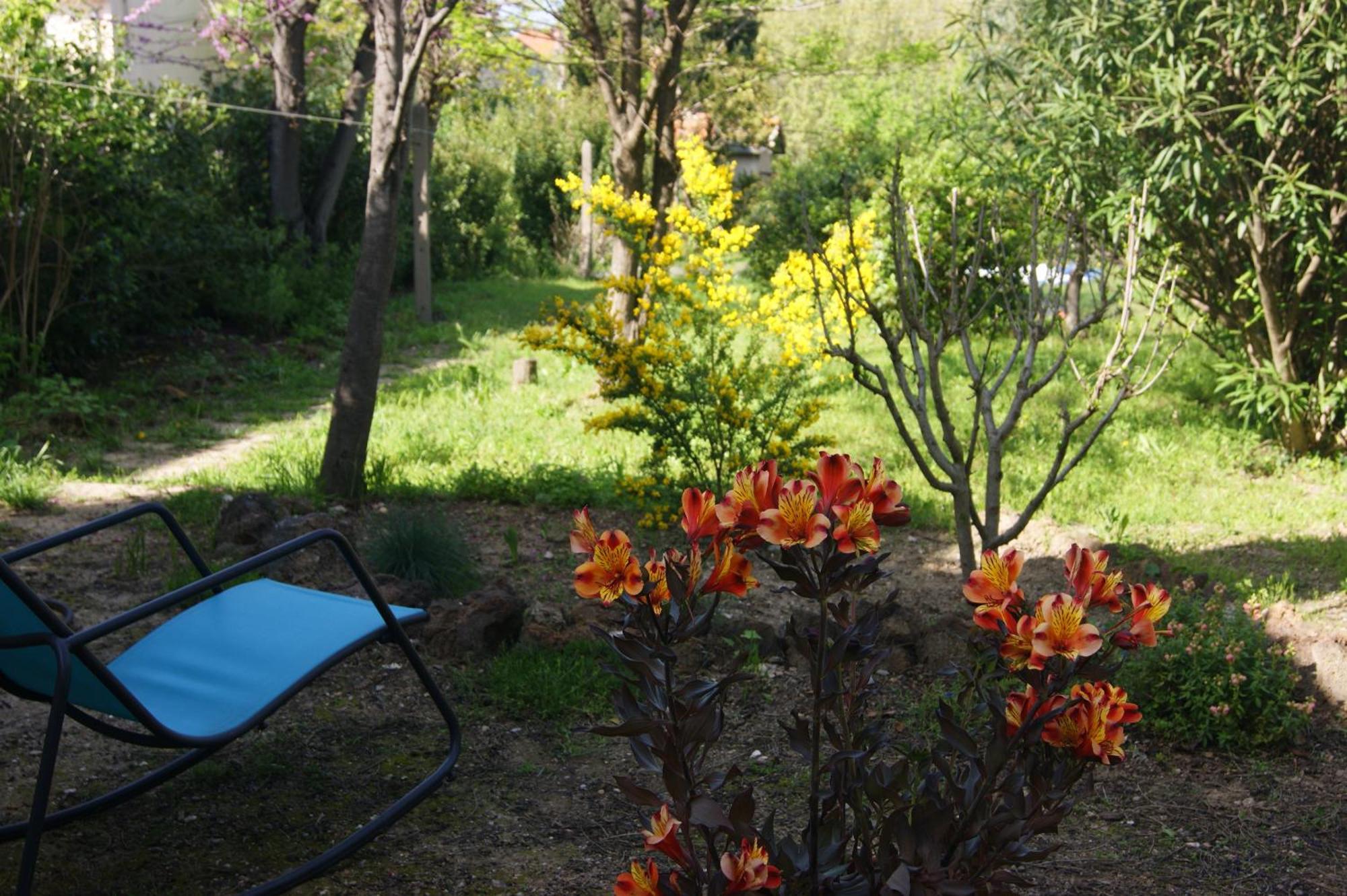 Le Petit Moliere Bed and Breakfast Servian Exteriör bild